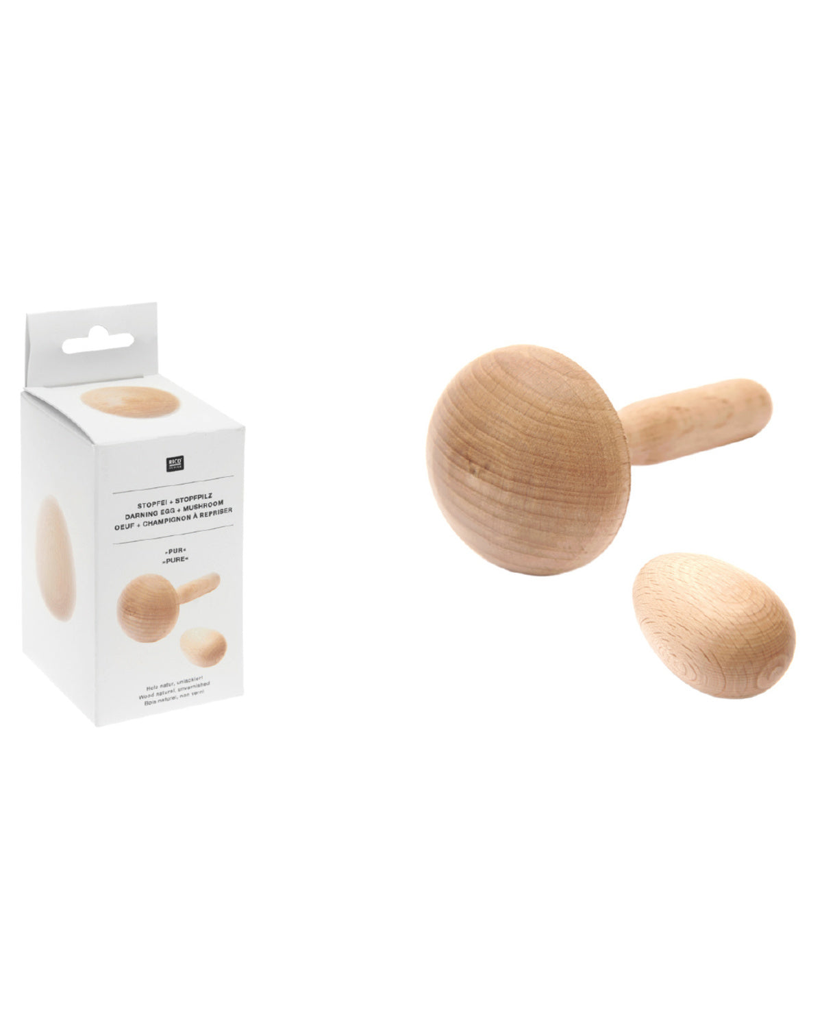 viðgerðarsveppur og egg