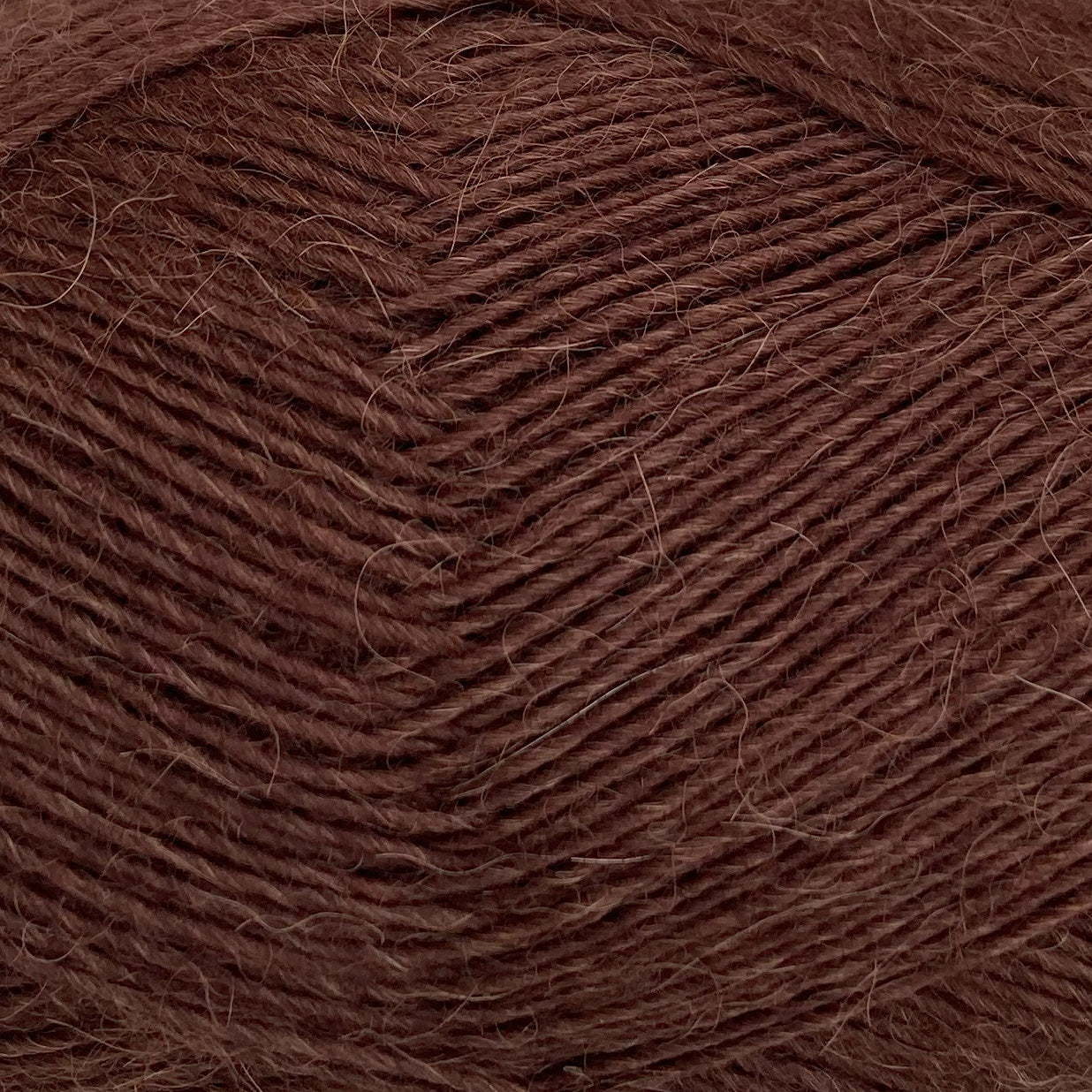 5084 - KASTANIE