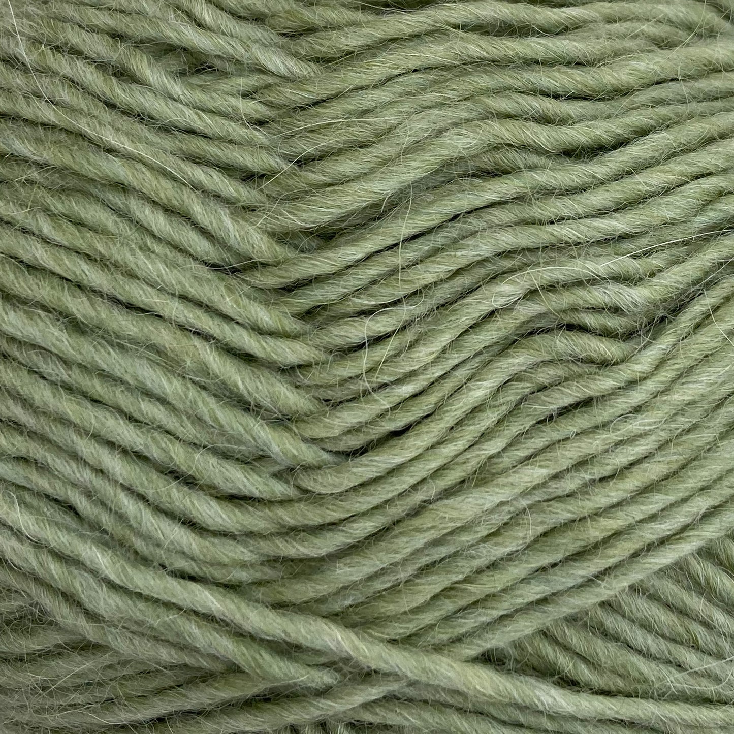 6118 - LYS AVOCADO