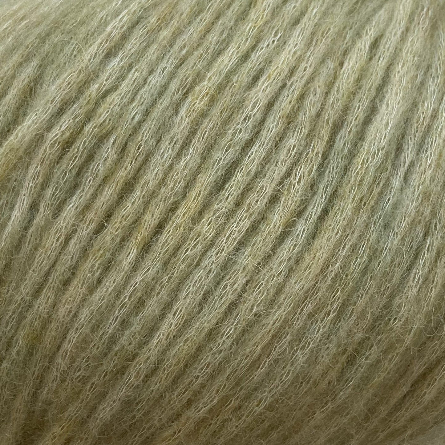 7824 PISTACIE