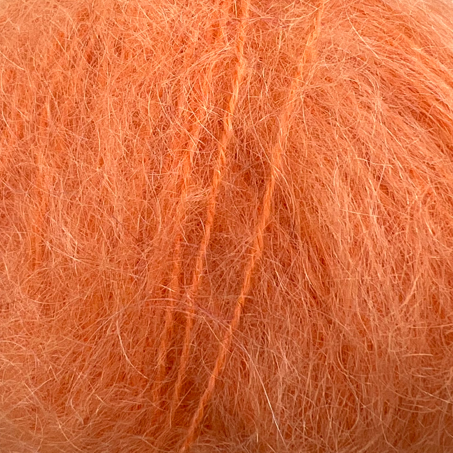 883266 Lys Orange
