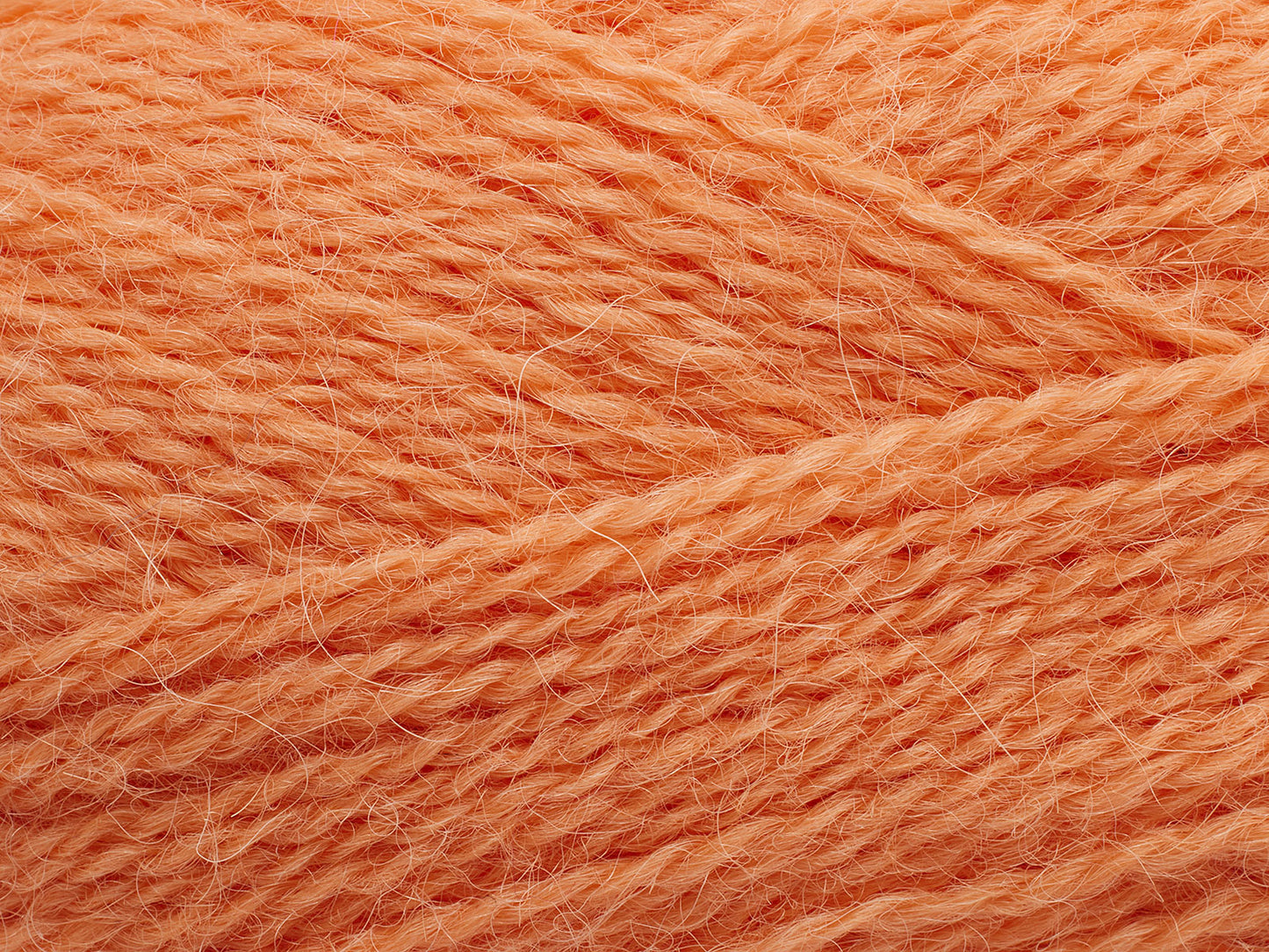 254 - Coral