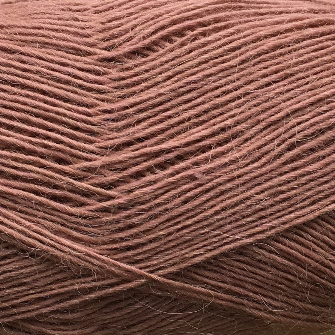 5010 - GAMMEL ROSA