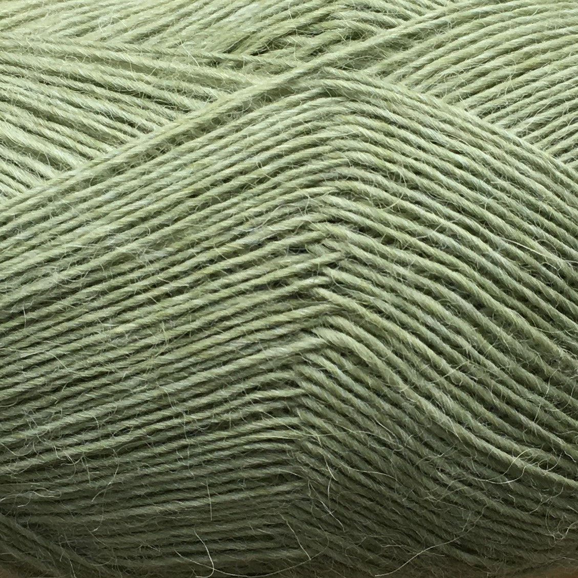 5026 - LYS AVOCADO