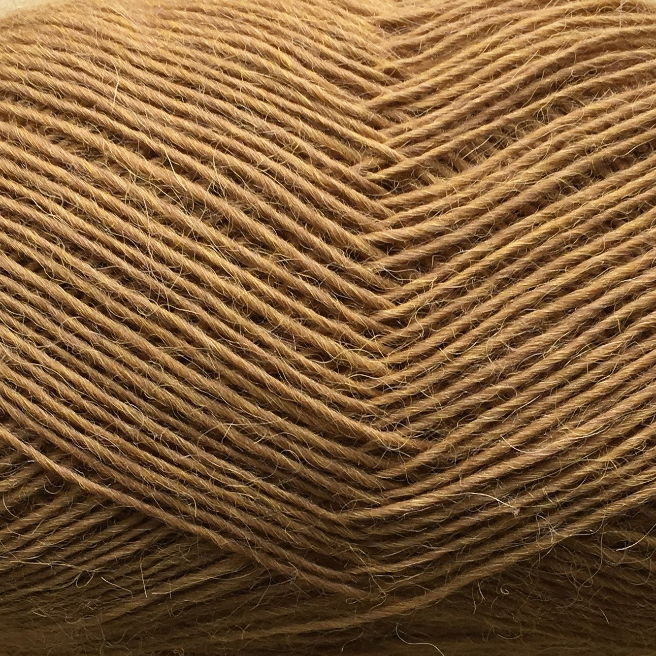 5028 - CAMEL