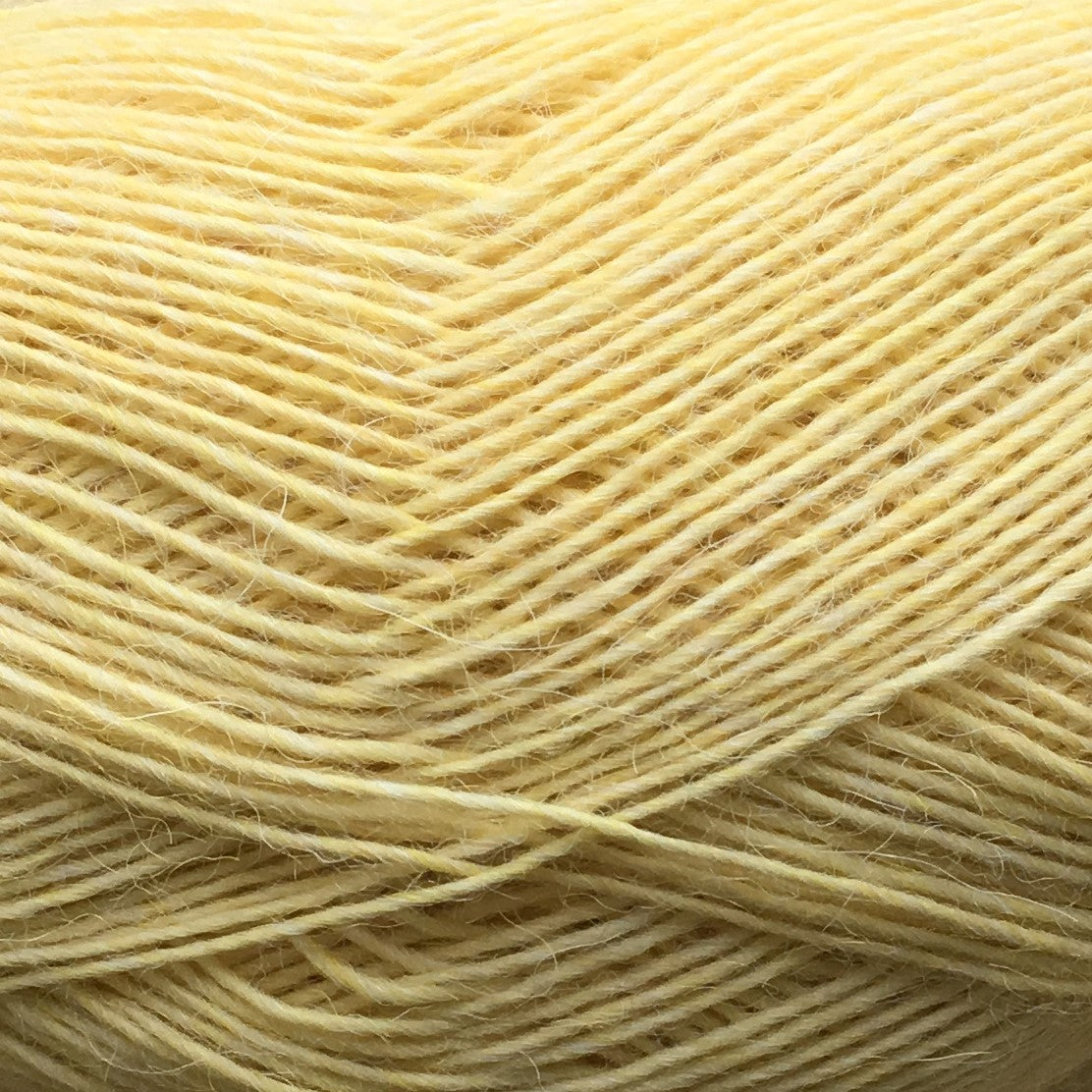 5036 - LYSEGUL