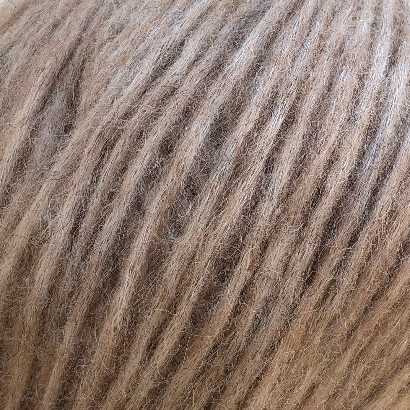 7102 - LATTE