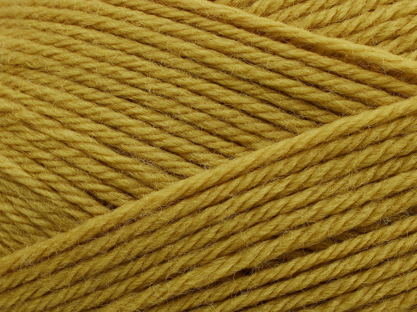 332 - Warm Olive