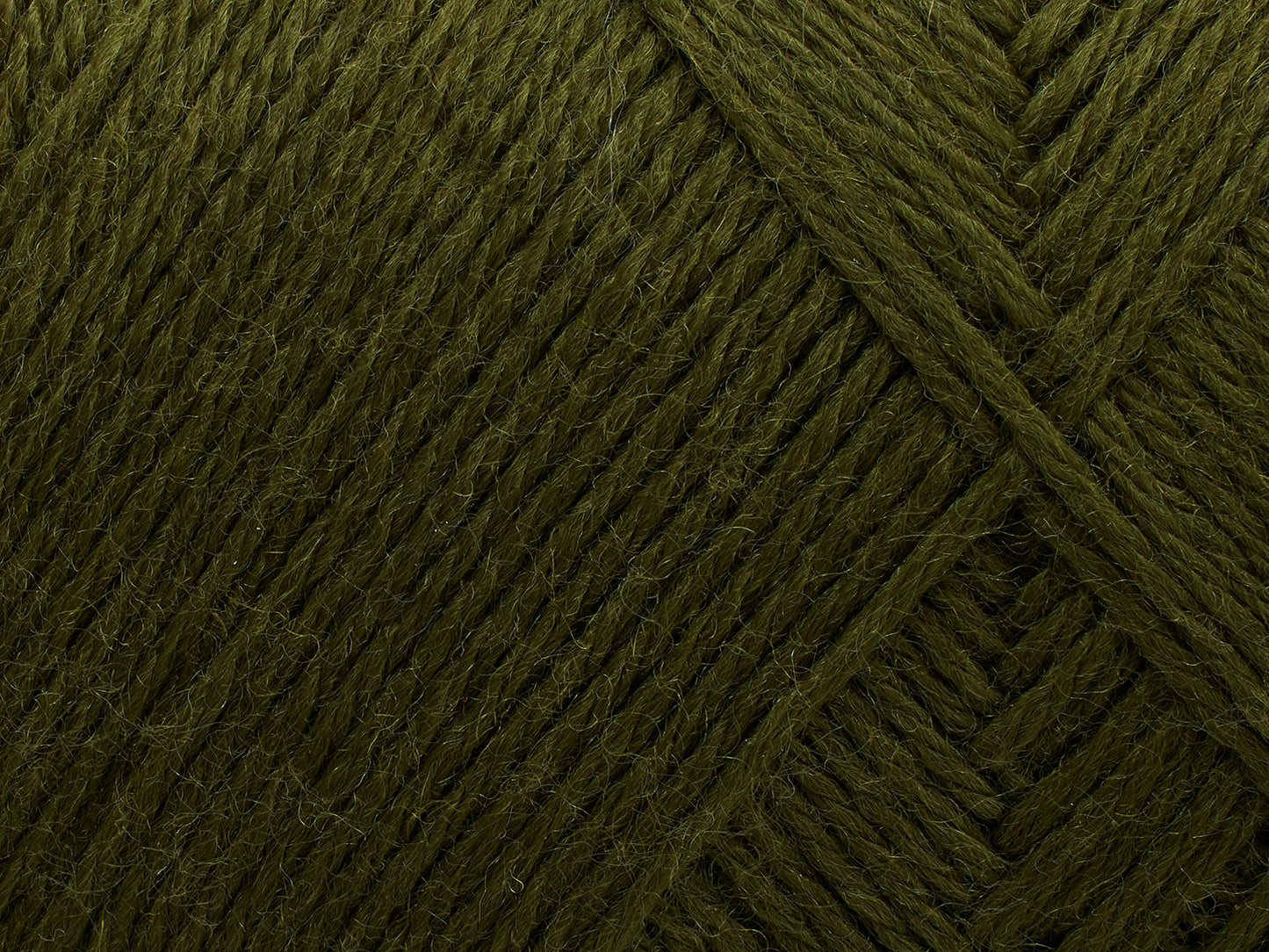 148 - Deep Olive