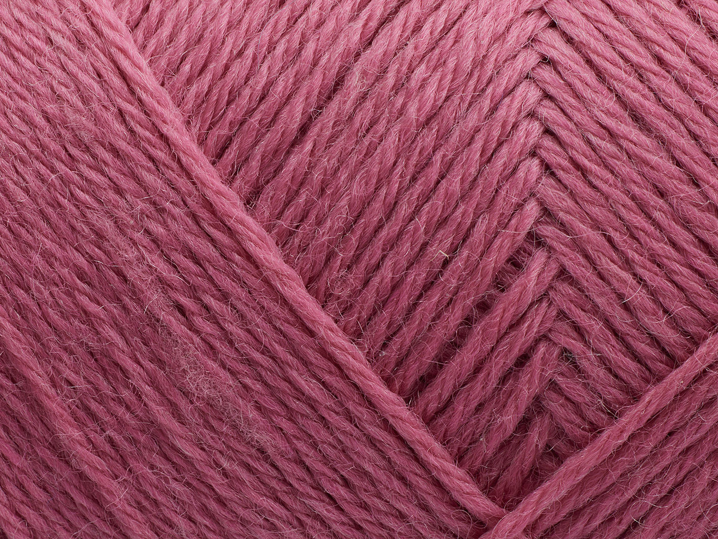 187 - Desert Rose