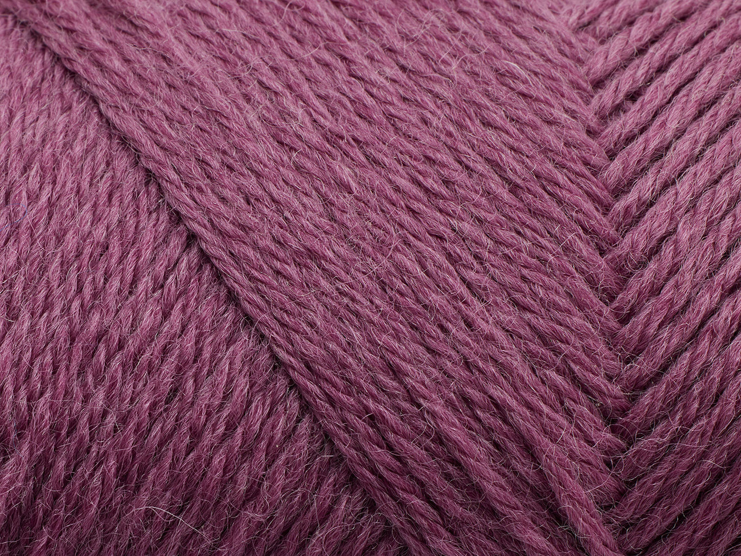 236 - Red Clover