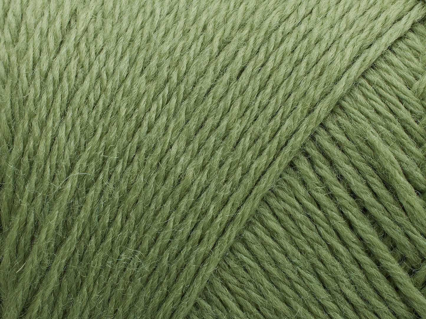 243 - Basswood Green