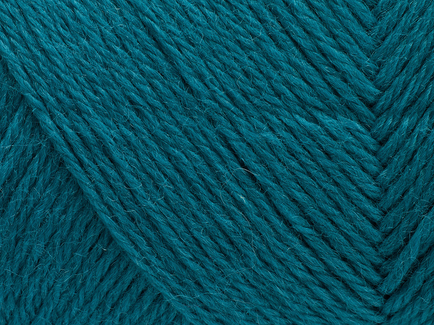 372 - Peacock