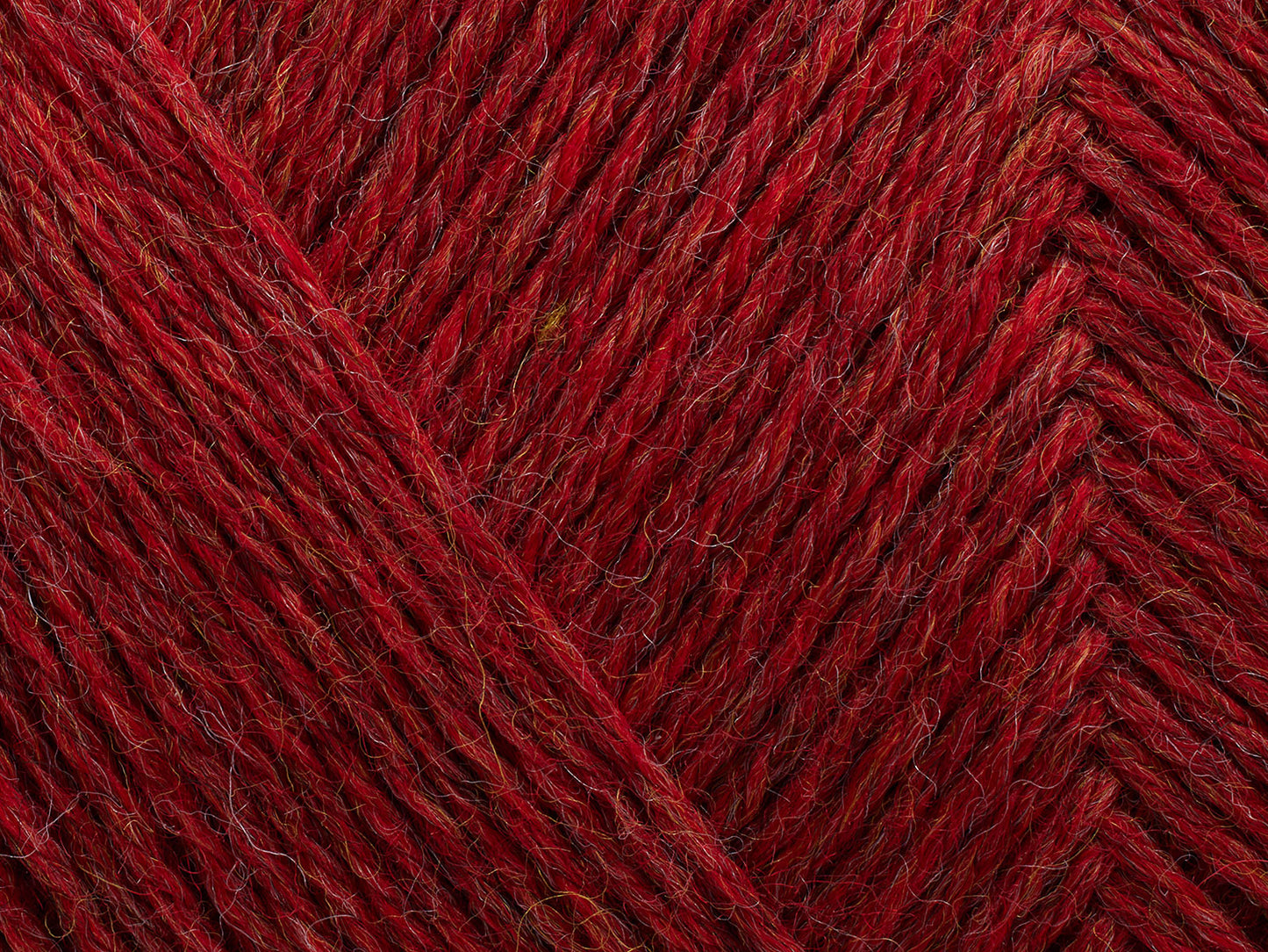 810 - Chrysanthemum (melange)
