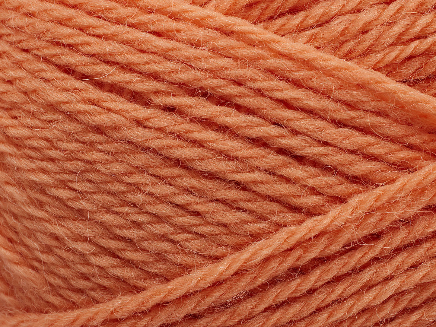 254 - Coral