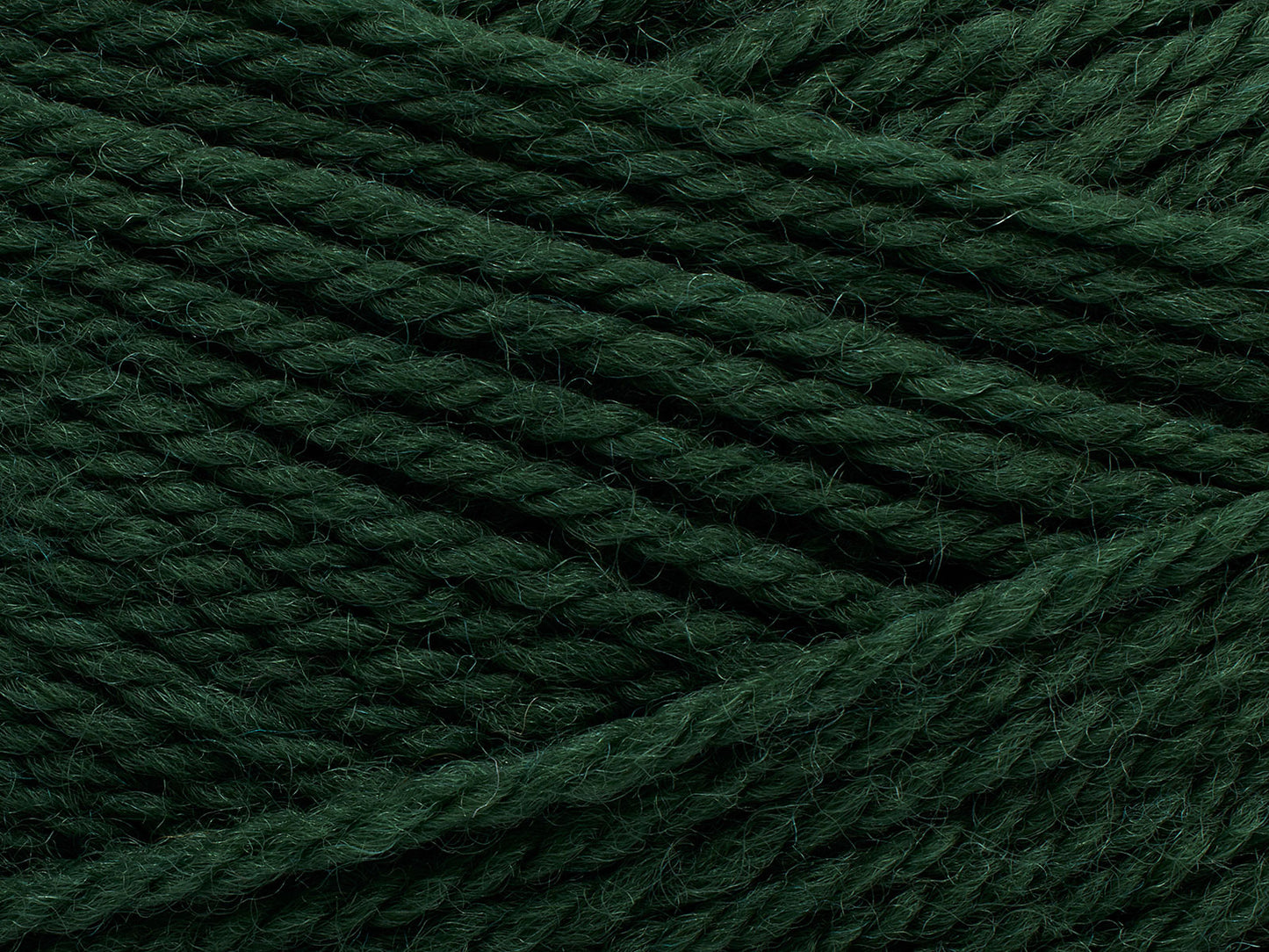 346 - Thuja