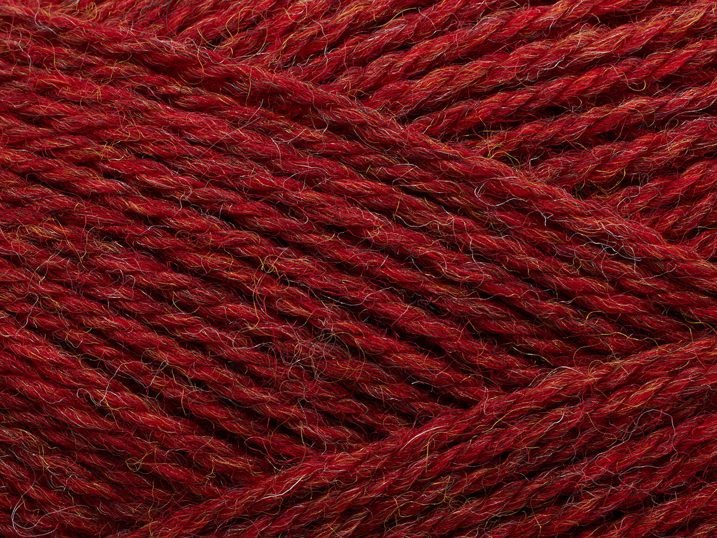 810 - Chrysantemum (melange)