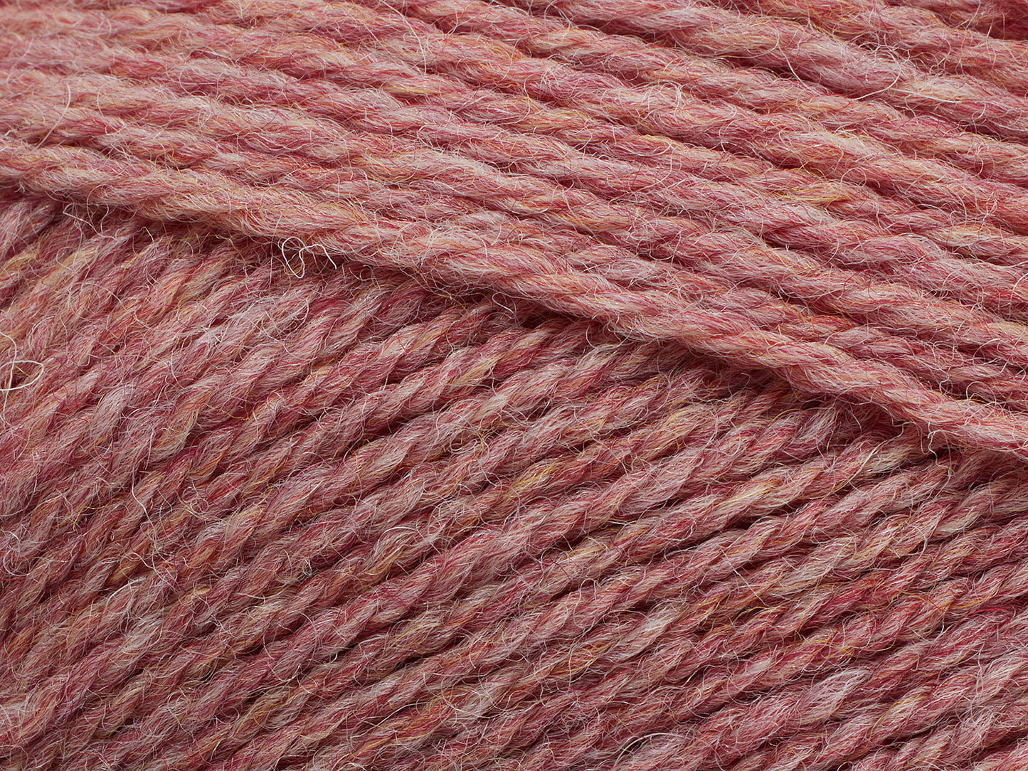830 - Ranunculus (melange)