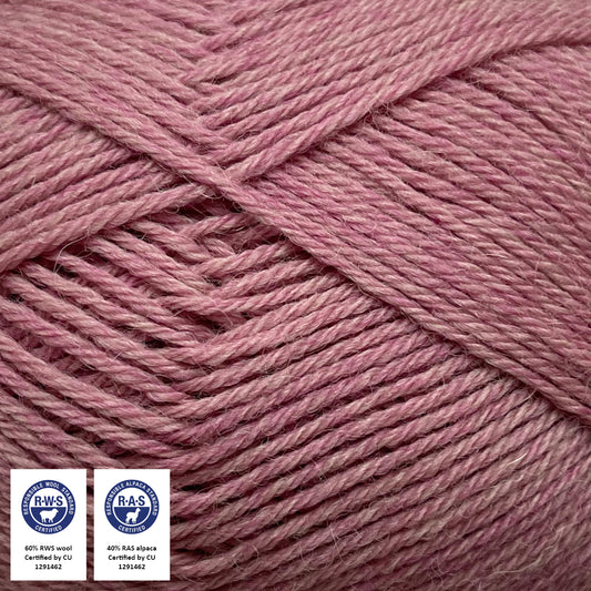 1450 - ROSA