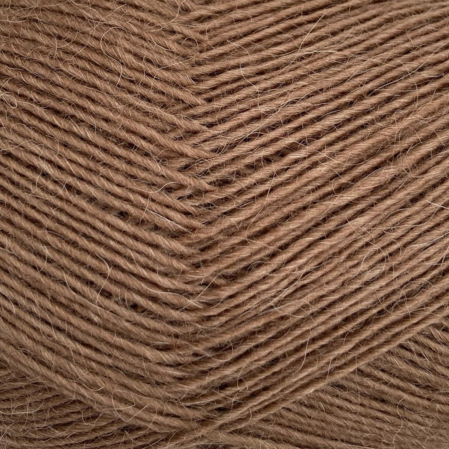 5082 - NOUGAT