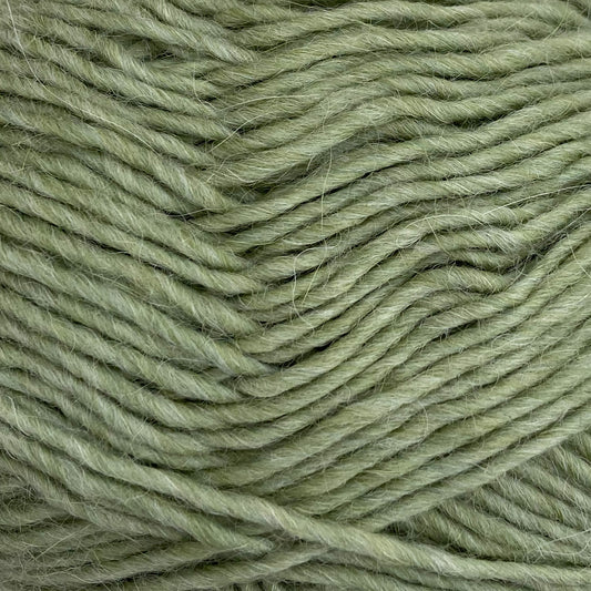 6118 - LYS AVOCADO