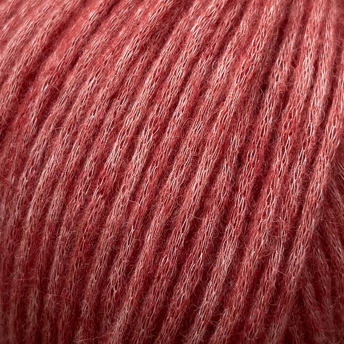 7908 - BRÆNDT ROSA