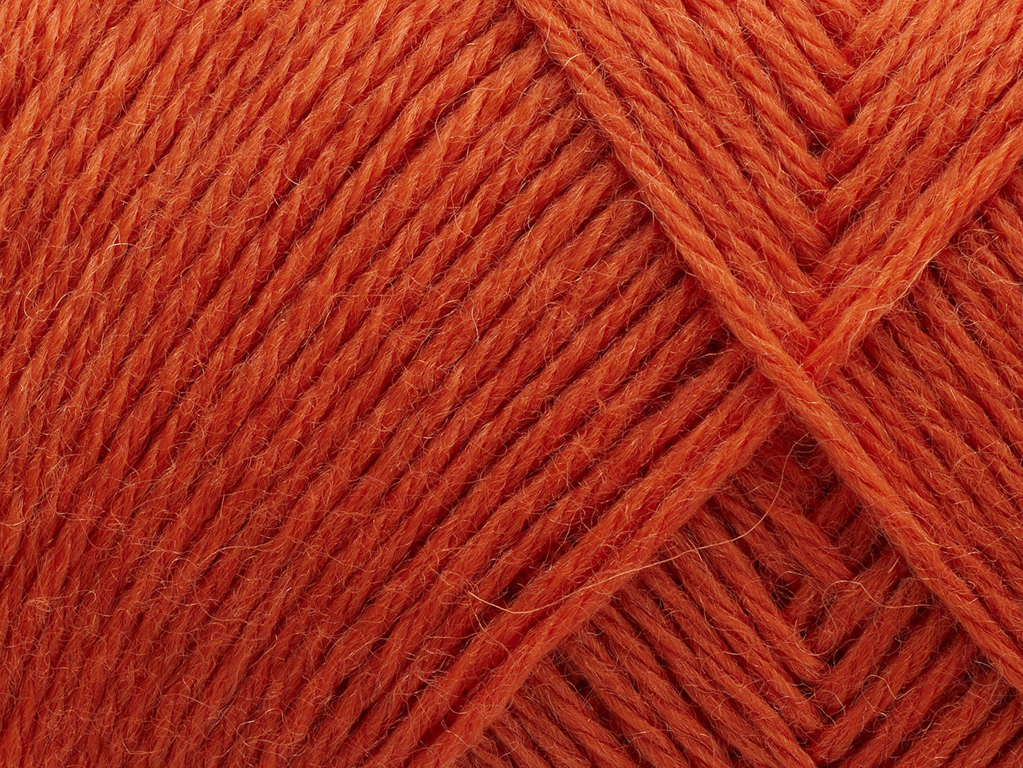 198 - Tangerine